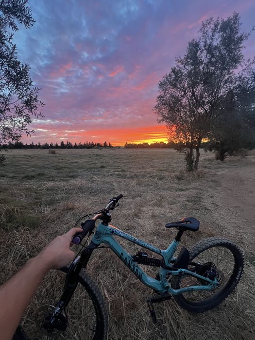 Canyon torque 6 AL 2021