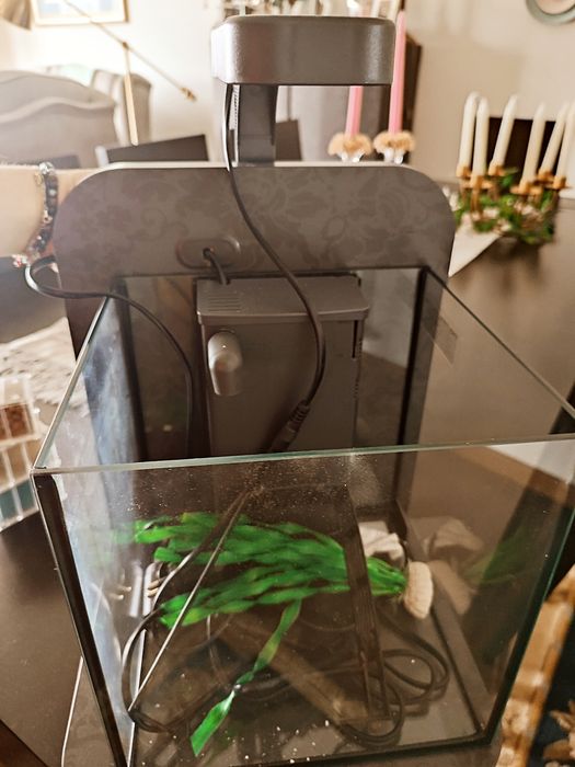 Aquário para peixes