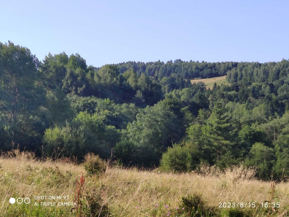 sprzedam działkę w Bieszczadach - View 4