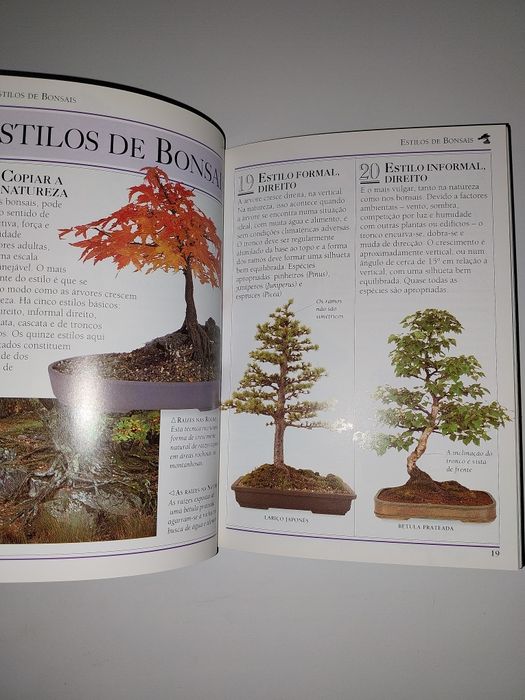 Bonsai - 101 Sugestões