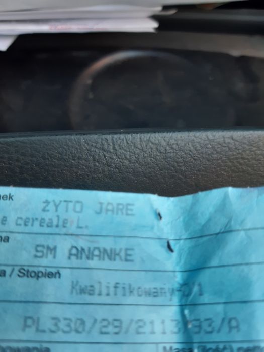 Żyto jare Ananke przewódkowe