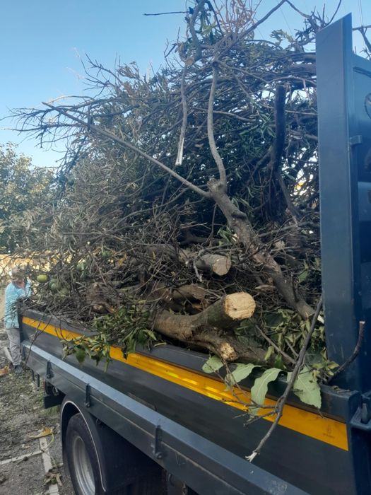 Faço cargas e descargas de entulho