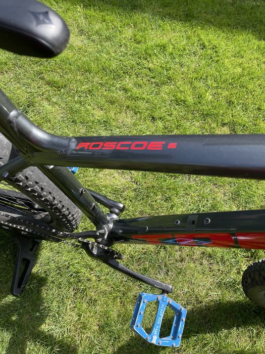 Rower Trek Roscoe 6