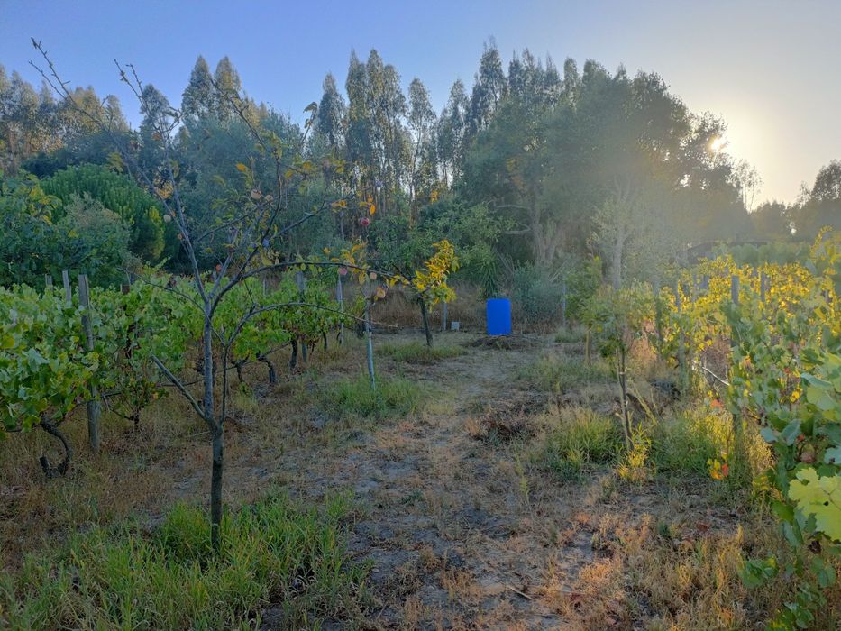 Vende-se terreno rústico