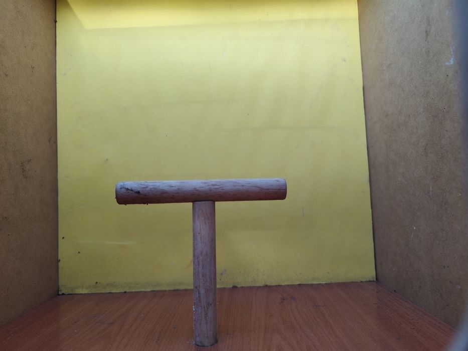 Estúdio fotográfico para aves