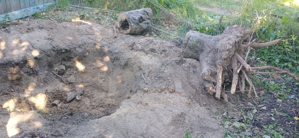 Расчистка територии,уборка и вывоз.