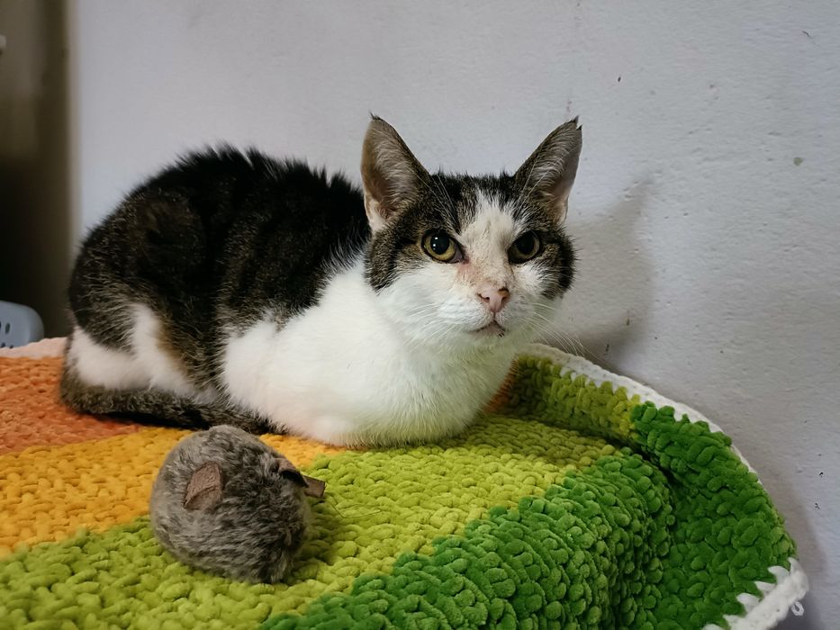 Grace - singielka kochająca człowieka szuka rodziny