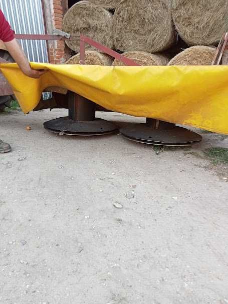 zamienię na cielaki do chowu