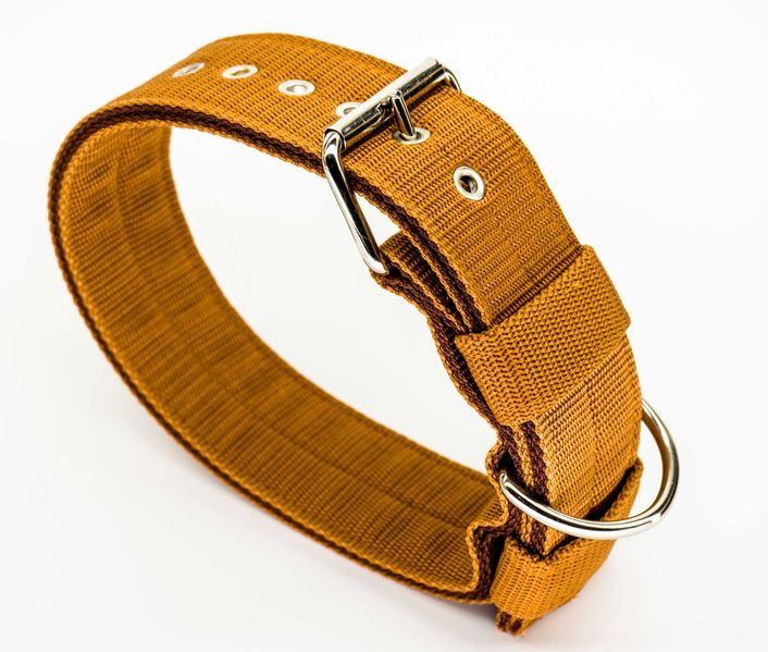 Obroża 5cm. Mocna i szeroka obroża dla psa. Kolor jasny brąz.