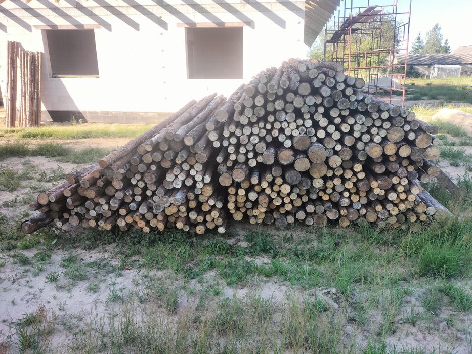 Sprzedam stemple dł. Od 3 m, ok. 470 szt