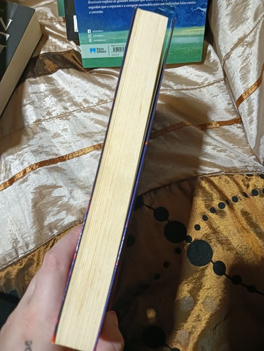 Livro- o nosso amor nasceu das cinzas