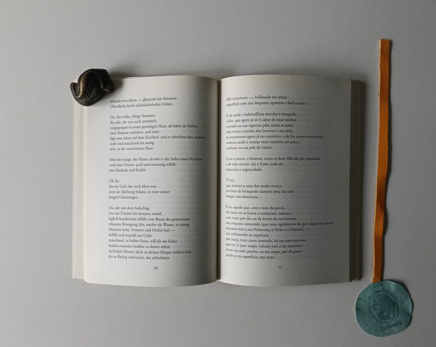 As elegias de Duíno, Rainer Maria Rilke