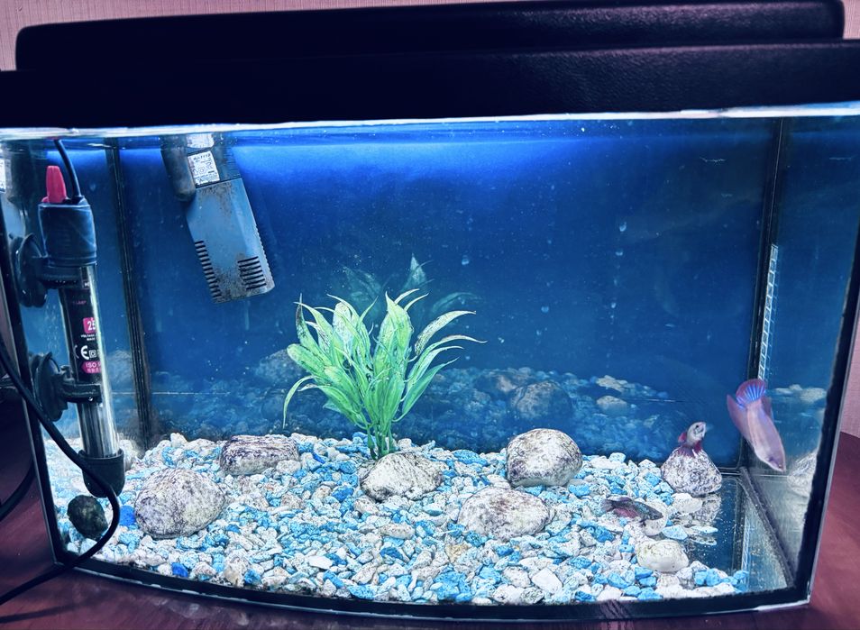 Аквариум 20л панорамный