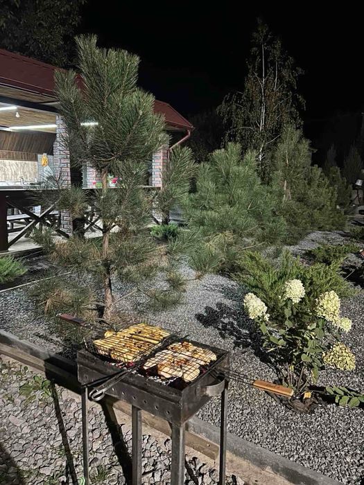 Аренда дома,баня,бесседка,бассейн с.Обуховка