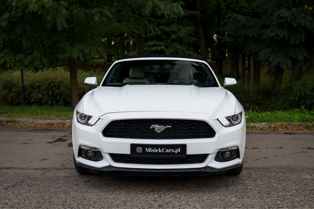 Wypożyczalnia aut Mustang camaro cabrio 3.7 V6 wynajem aut promocja