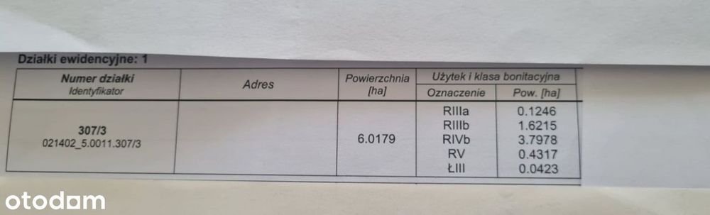 Na sprzedaż działka rolna 6,02 ha - Widok 3