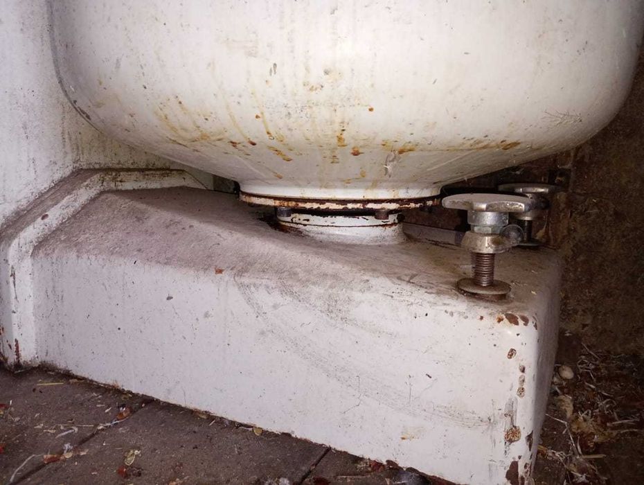 Тестомишилка догорная