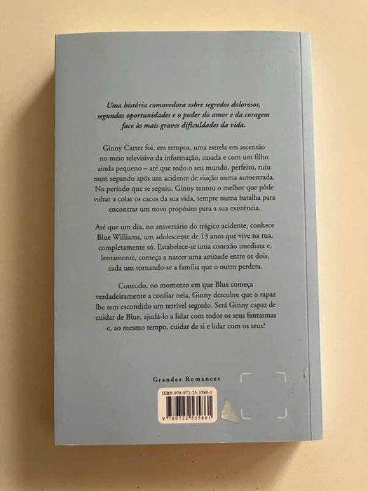 Livro: Uma Amizade de Danielle Steel