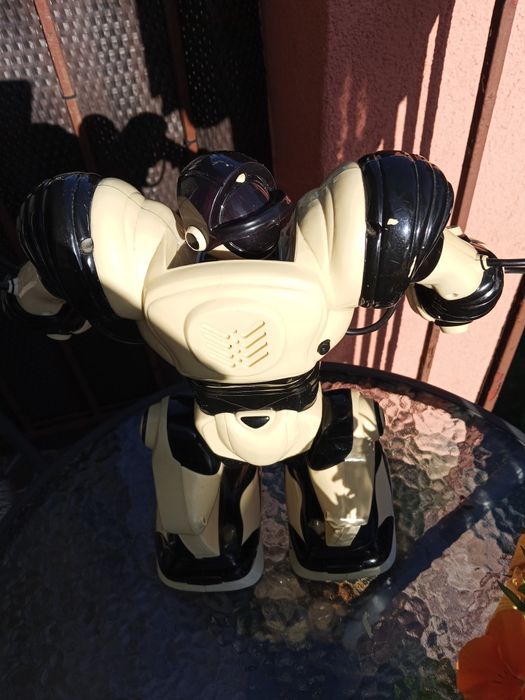 Robot interaktywny