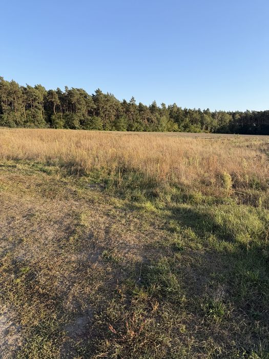 Działka budowlana 770 m² w Betkowie – ul. Cisowa, blisko lasu