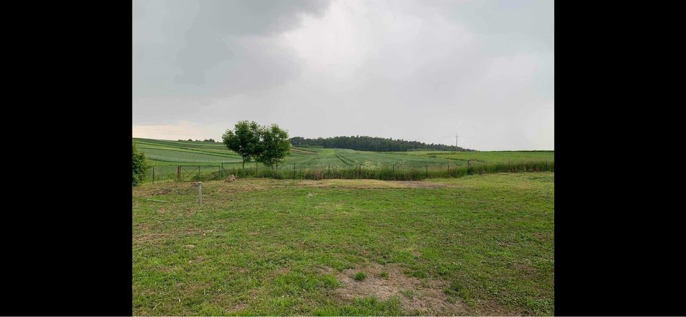 Dom z widokiem na las