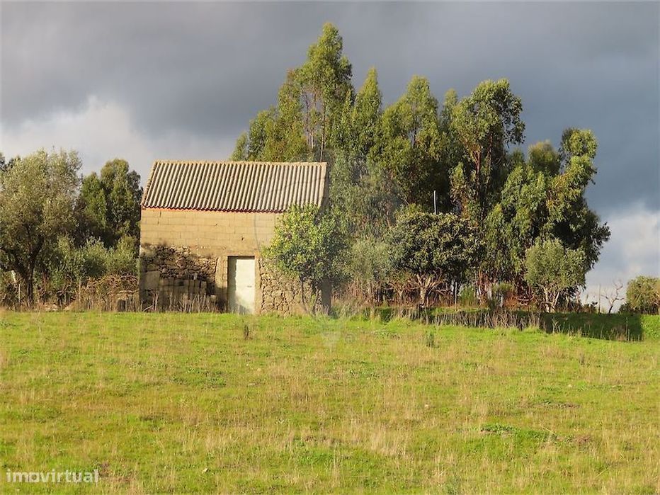 Quinta  para venda — Orca, Castelo Branco