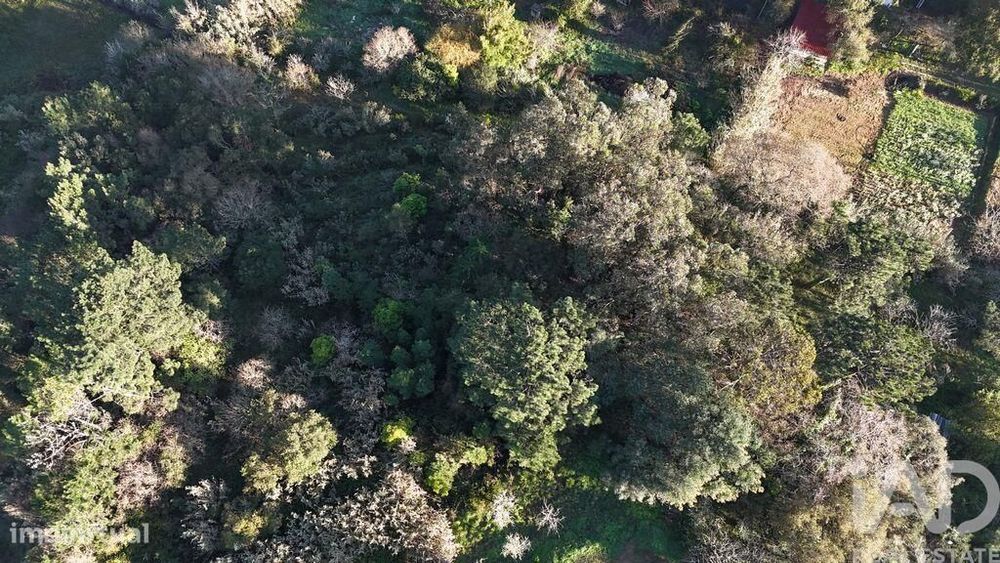 Terreno Agrícola em Mafra