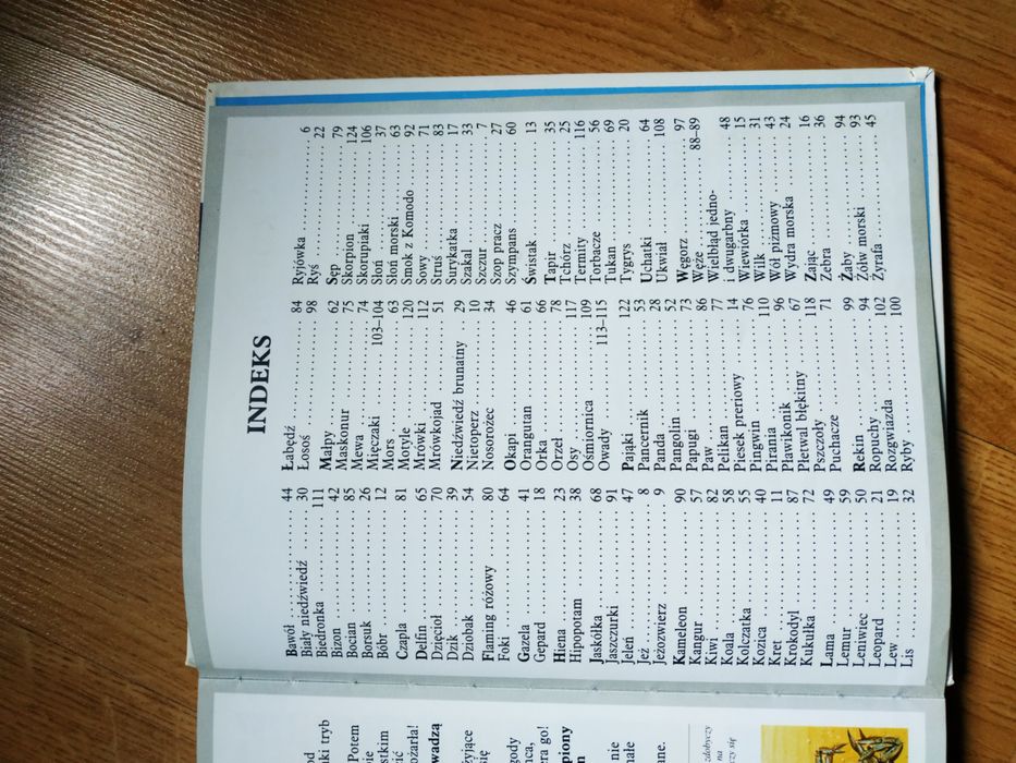 Książka, Zwierzęta