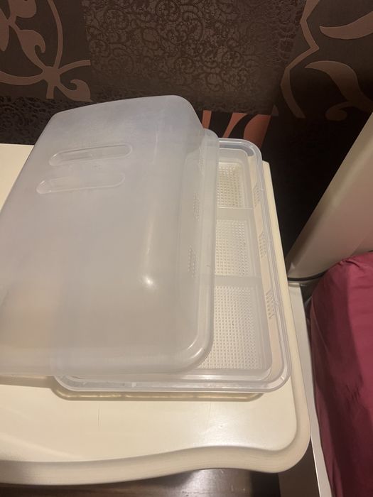 Лоток с крышкой для гидропонного выращивания микрозелени