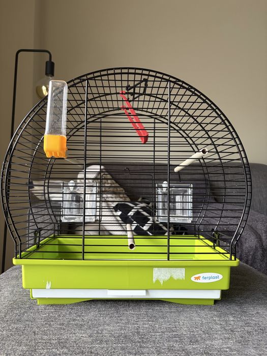 Gaiola para pássaros