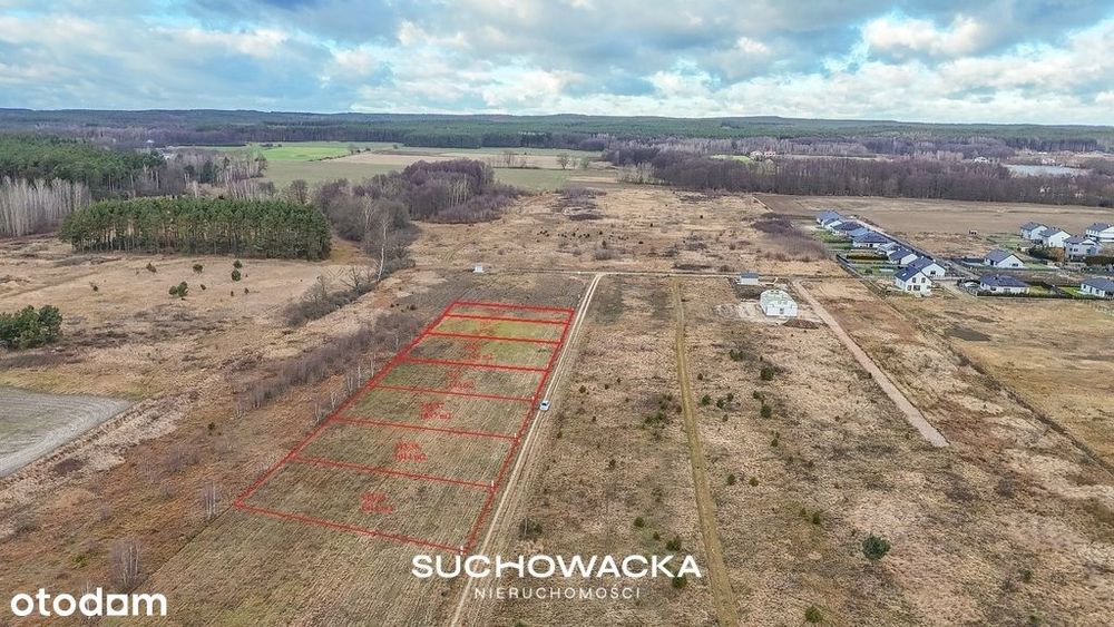 Działki 8-11 arów | Ochla-Jutrzenki/Akacjowa