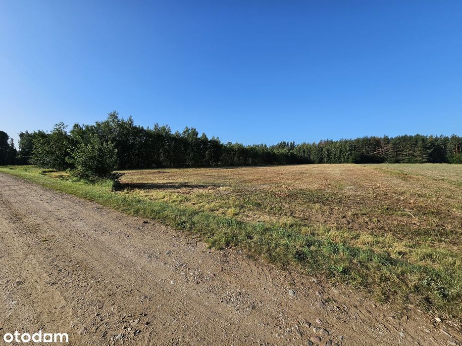 Działka 7499 M² Nad Zalewem Bachmaty Warunki Zabudowy Brak Sąsiadów - Widok 4
