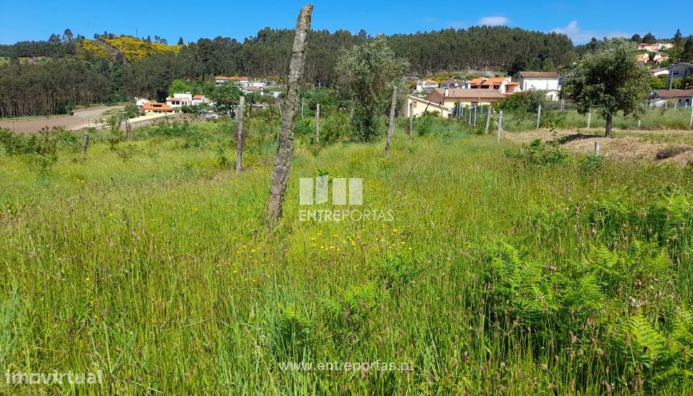 Venda Terreno, Fregim, Amarante