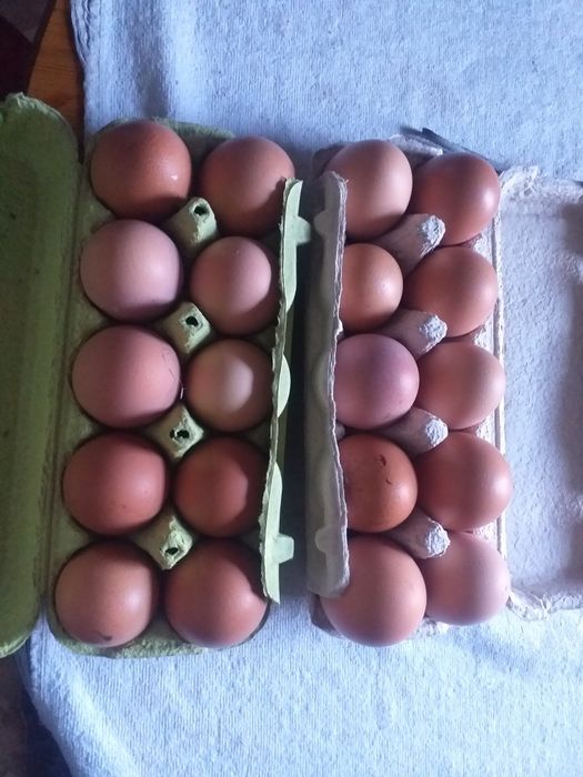 Яйца домашние куриные.