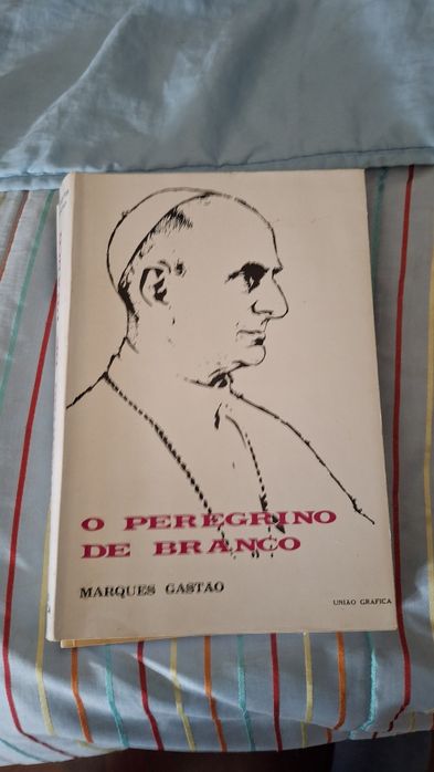 O peregrino de branco papa Paulo VI Fátima