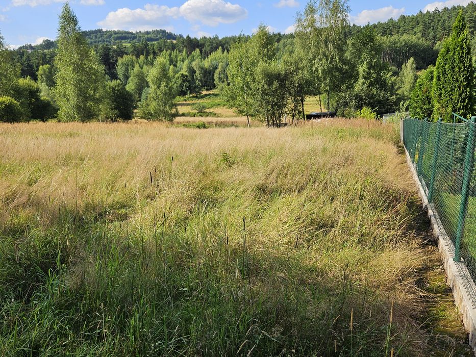 Działka budowlana w Beskidach - Widok 2