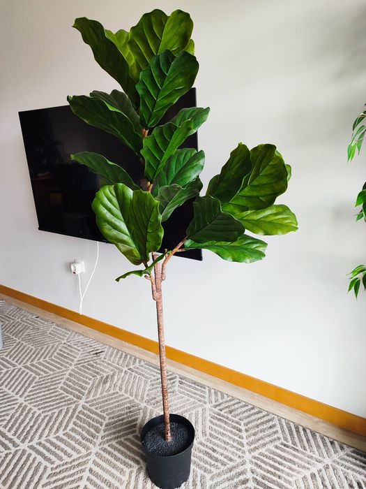 Planta Artificial Fejka Ficus Lyrata