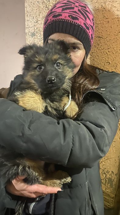 Вот такая красотка