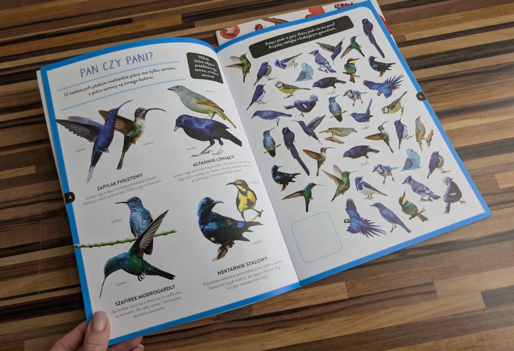 Zestaw młodzi przyrodnicy kolorowa przyroda żółta niebieska czerwona