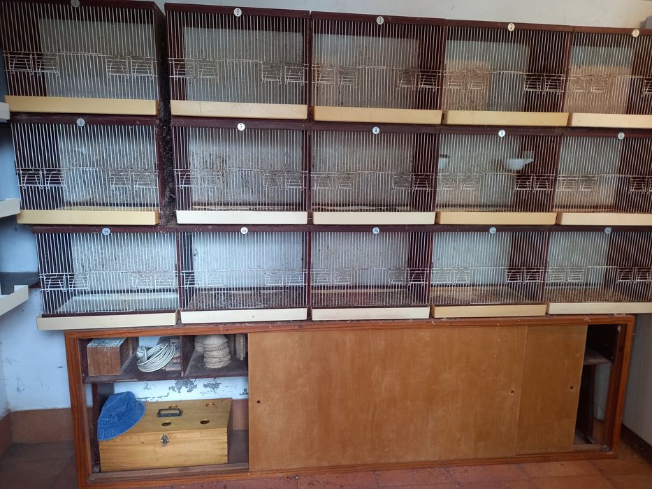 Vendo vários tipos de gaiolas