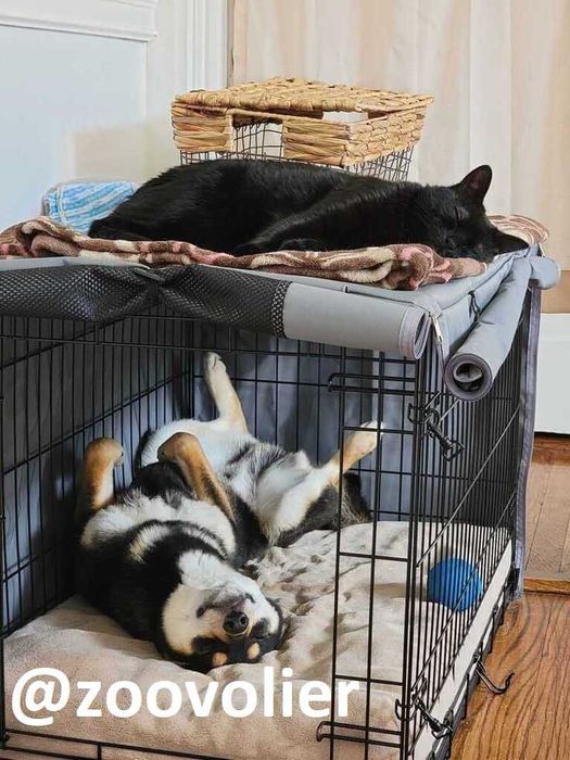 Клетка, клітка, переноска вольер будка, домик для собак или кошек