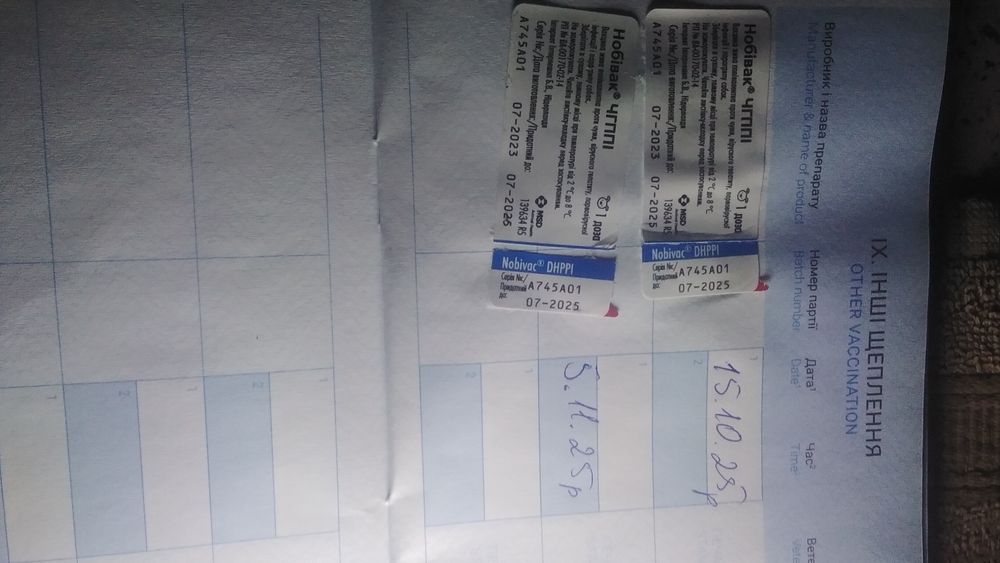 Продам девочку йорка