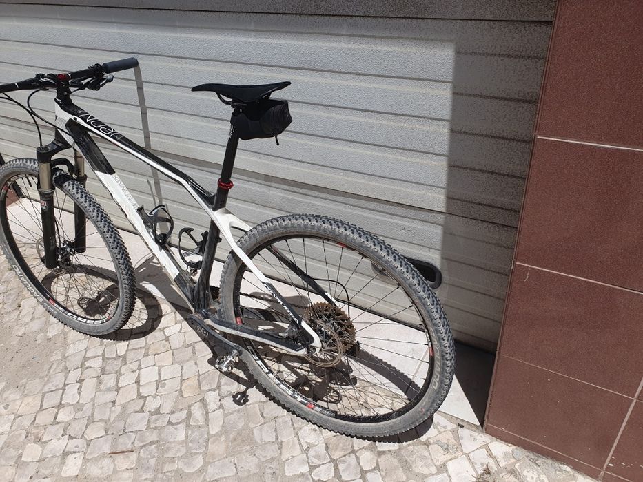 Olympia Iron 29 carbono L