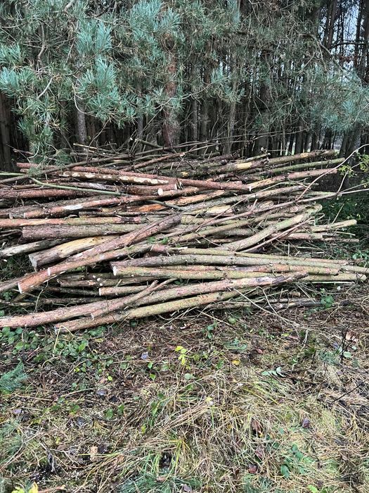 Drewno opalowe tanio