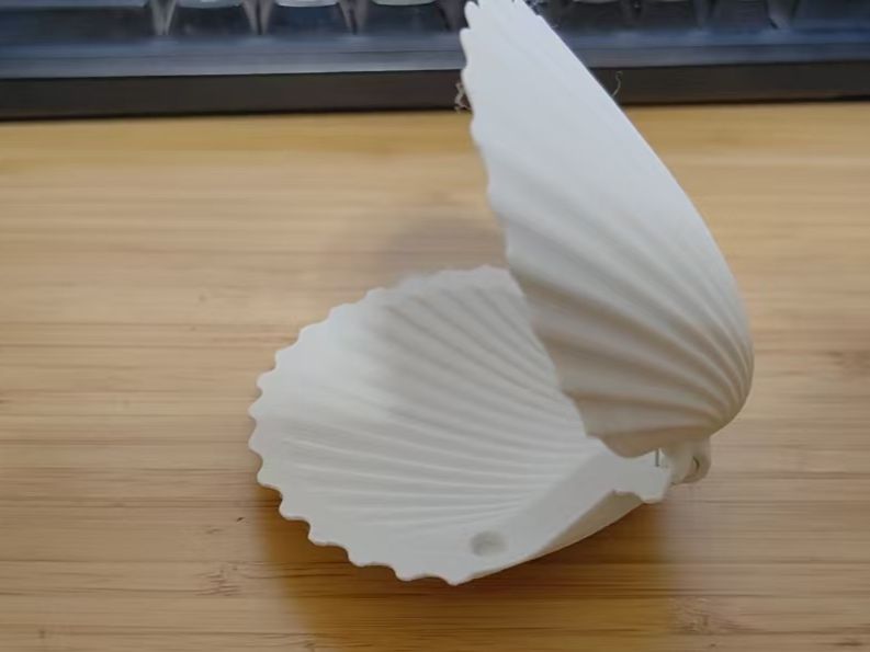 Мушля, ракушка продам