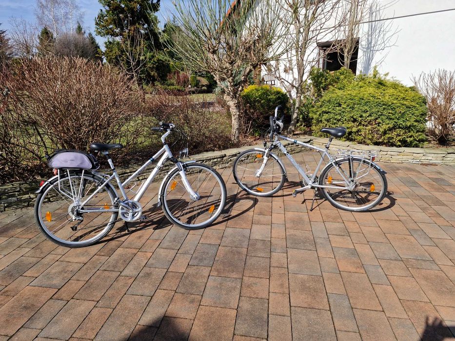 Rower trekkingowy Kross Trans Pacific