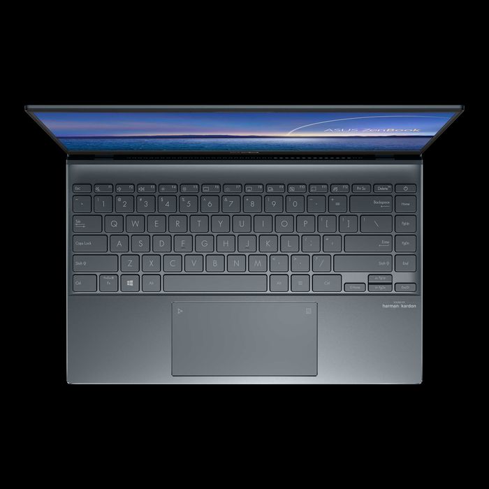 ASUS ZenBook 14UX-425EA