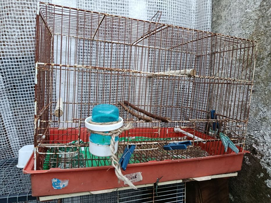 Gaiolas usadas várias