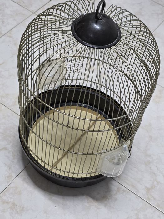 Várias gaiolas usadas e 1 nova em bom estado