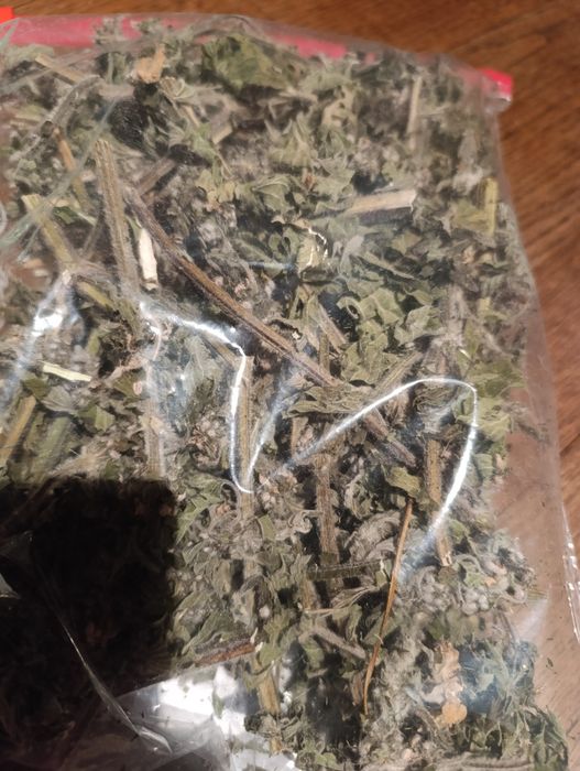 Z Podlasia kasztanowiec kwiat przytulia głóg miłorząb  krążenie limfa